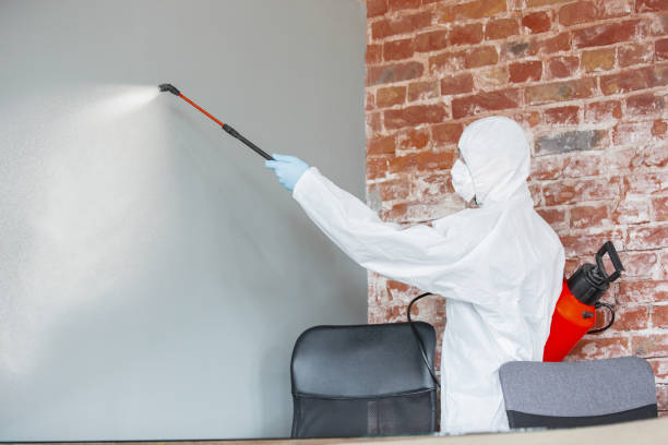 Best Residential Mold Inspection & Testing  in Russell, GA