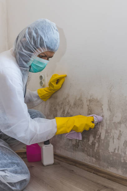 Best Mold Damage Restoration  in Russell, GA