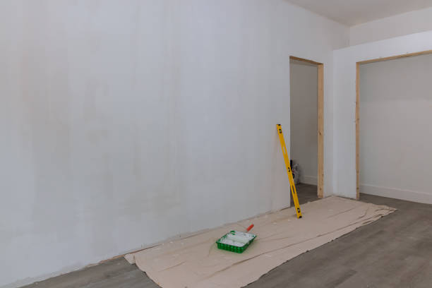Best Attic Mold Removal  in Russell, GA