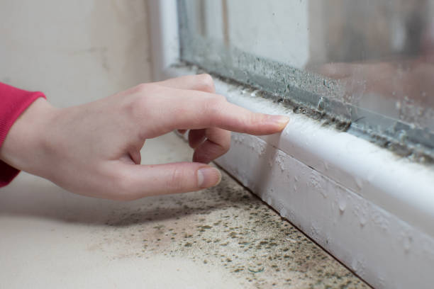 Mold Odor Removal Services in Russell, GA