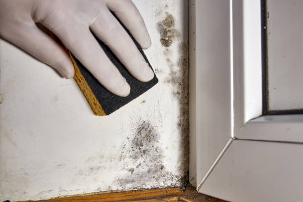 Best Mold Prevention Services  in Russell, GA