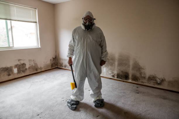 Best Mold Prevention Services  in Russell, GA